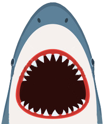requin illustration